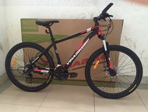 Xe đạp thể thao Vinabike V168