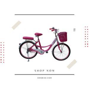 Xe đạp thời trang SMNBike CL 24-02