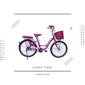 Xe đạp thời trang SMNBike WV 24-04