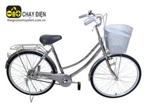 Xe đạp thường Thống Nhất 219-05-24 24 inch