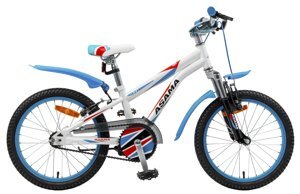 Xe đạp trẻ em Asama KZB 151802