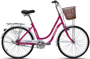 Xe đạp trẻ em Fascino FM26 26 inch