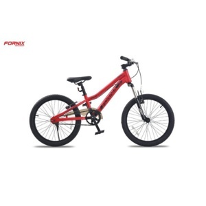 Xe đạp trẻ em Fornix Rover