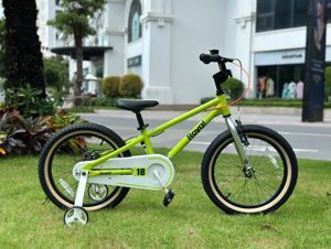 Xe đạp trẻ em royal baby climber