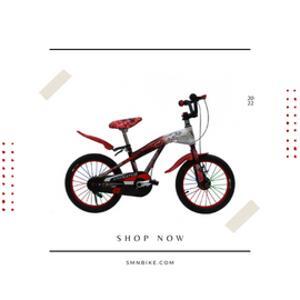 Xe đạp trẻ em SMNBike B 16-01