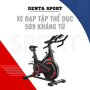 Xe đạp trong nhà Sport FITNESS 508