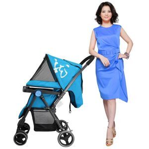 Xe đẩy trẻ em Seebaby T11