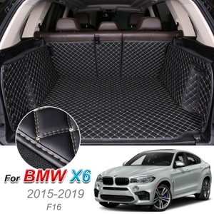 Xe điều khiển BMW X6 2016