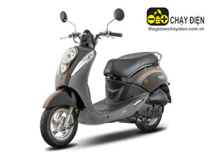 Xe ga 50cc Elite Sym