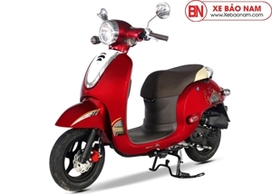 Xe ga 50cc Giorno Detech