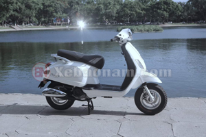 Xe Ga 50cc Vespa Dibao Pansy X 2020