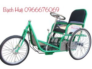 Xe lắc tay sắt sơn VN