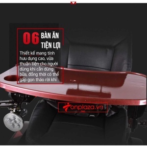 Xe lăn điện Việt Pháp TM012