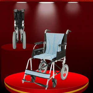 Xe lăn tay Việt Pháp TM046