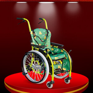 Xe lăn tay Việt Pháp TM047