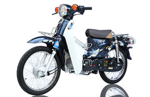 Xe máy 50cc Cub 81 Daisim