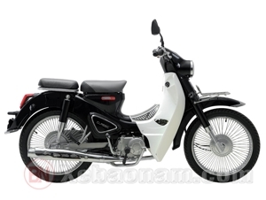 Xe máy 50cc Cub Ally Classic