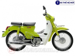 Xe máy 50cc Cub Ally Classic