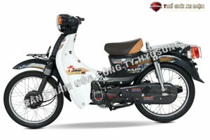 Xe Máy 50cc Cub Hyosung 2020