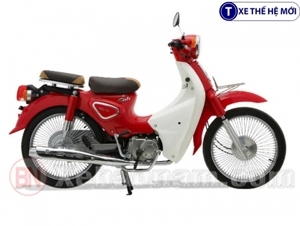 Xe máy 50cc Cub New Ally 2022