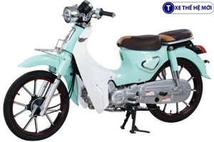 Xe máy 50cc Cub New Ally 2022