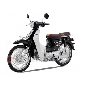 Xe máy 50cc Cub New Ally 2022