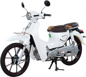 Xe máy 50cc Cub New Ally 50SE vành Đúc