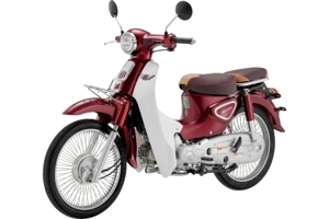 Xe Máy 50cc Cub New Ally 50SE