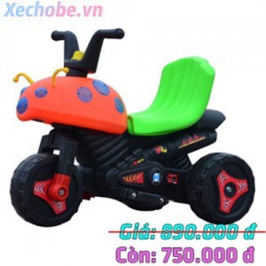 Xe máy điện 3 bánh 007