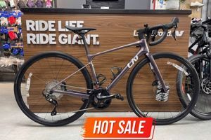 Xe road Liv Avail ADV 2 2022
