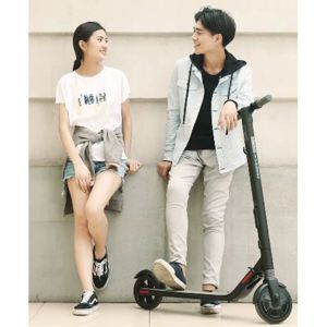 Xe scooter điện Ninebot KiskScooter ES1