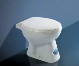 Xí bệt cụt không két nước sứ Đông Lâm Dolacera DL301