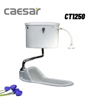 Bồn cầu xổm két nước treo tường Caesar CT1250 (CT-1250)