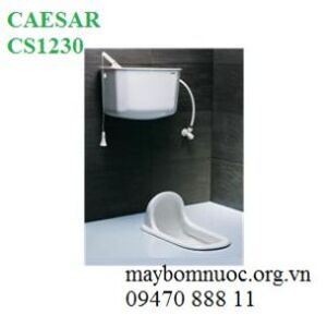 Bồn cầu xổm két nước treo tường Caesar CS1230