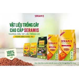 Xương Rồng Và Cây Mọng Nước