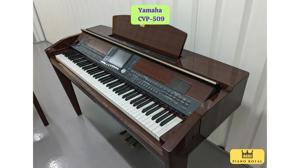 Đàn Piano Yamaha Clavinova CVP-509 - Màu PM