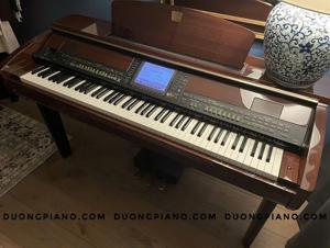 Đàn Piano Yamaha Clavinova CVP505 (CVP-505) - Màu PE