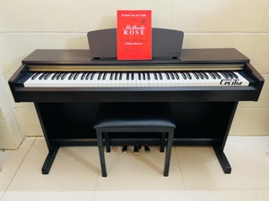 Đàn Piano Yamaha Arius YDP-161